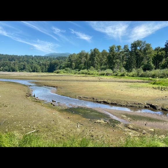 Meet your Posher, Sarah - Picture 1 of 1